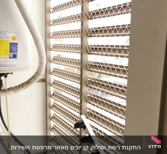 רשת מתכת על חלון עם דוקרנים למניעת יונים